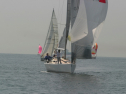 IMG_9523.jpg