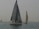 IMG_9524.jpg