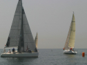 IMG_9525.jpg