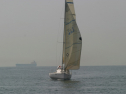 IMG_9526.jpg