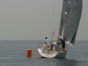 IMG_9527.jpg