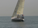 IMG_9535.jpg