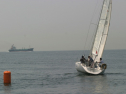 IMG_9536.jpg