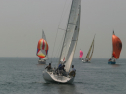 IMG_9537.jpg