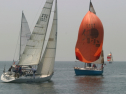 IMG_9542.jpg