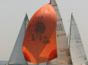 IMG_9546.jpg