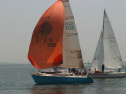 IMG_9547.jpg