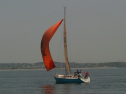 IMG_9550.jpg