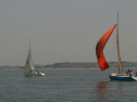 IMG_9551.jpg