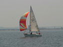 IMG_9554.jpg