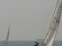 IMG_9555.jpg