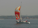 IMG_9559.jpg