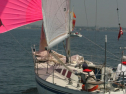 IMG_9564.jpg