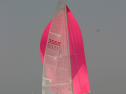 IMG_9568.jpg