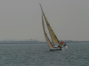 IMG_9578.jpg