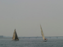 IMG_9579.jpg