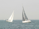 IMG_9587.jpg