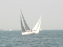 IMG_9588.jpg