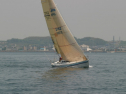 IMG_9591.jpg