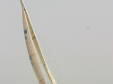 IMG_9595.jpg