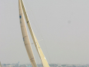 IMG_9596.jpg