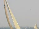 IMG_9597.jpg