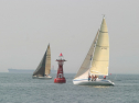 IMG_9605.jpg