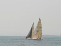 IMG_9608.jpg