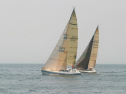 IMG_9615.jpg