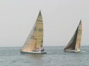 IMG_9616.jpg