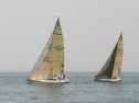 IMG_9617.jpg