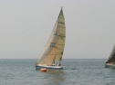 IMG_9619.jpg
