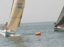 IMG_9621.jpg