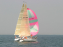 IMG_9631.jpg