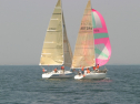 IMG_9632.jpg