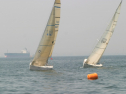 IMG_9641.jpg