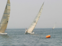IMG_9642.jpg