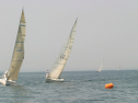 IMG_9643.jpg