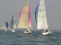 IMG_9646.jpg