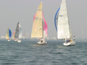 IMG_9647.jpg