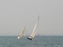 IMG_9648.jpg