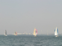 IMG_9649.jpg