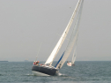 IMG_9650.jpg