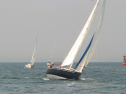 IMG_9651.jpg