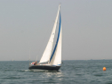 IMG_9652.jpg
