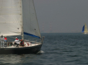 IMG_9655.jpg