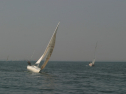 IMG_9659.jpg