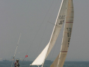 IMG_9661.jpg