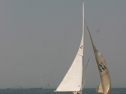 IMG_9663.jpg