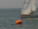 IMG_9665.jpg
